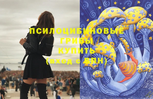 соль ск Абдулино