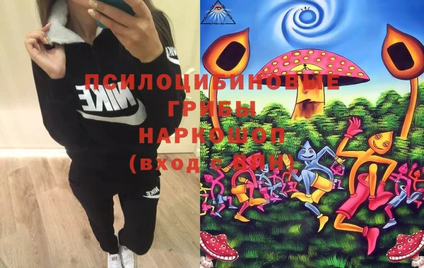 шишки Абинск