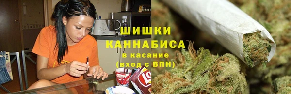 шишки Абинск