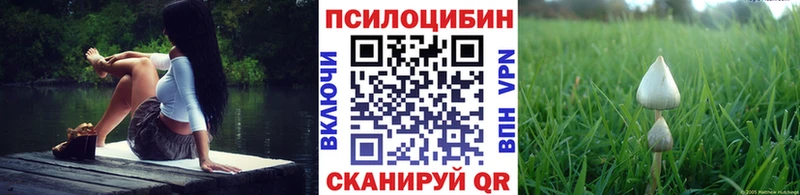 Галлюциногенные грибы Cubensis  наркошоп  Циолковский 